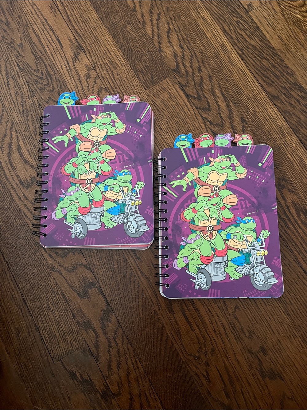 Ninja TurtlesJournal /Drawing  (2)